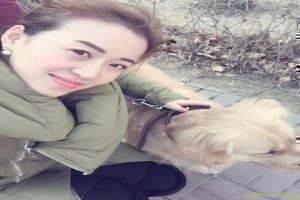 汉语词语解释字典